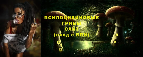 первитин Горняк