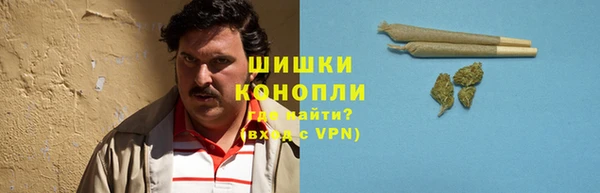 mdpv Горнозаводск