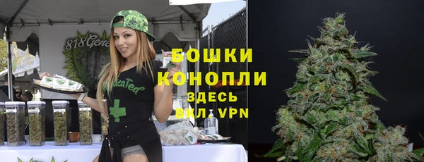 mdpv Горнозаводск