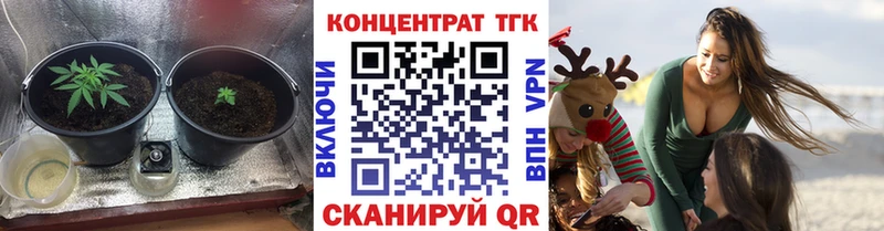 Купить где  Рассказово  ТГК концентрат 