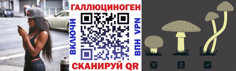 Псилоцибиновые грибы ЛСД  Купить где  Рассказово 